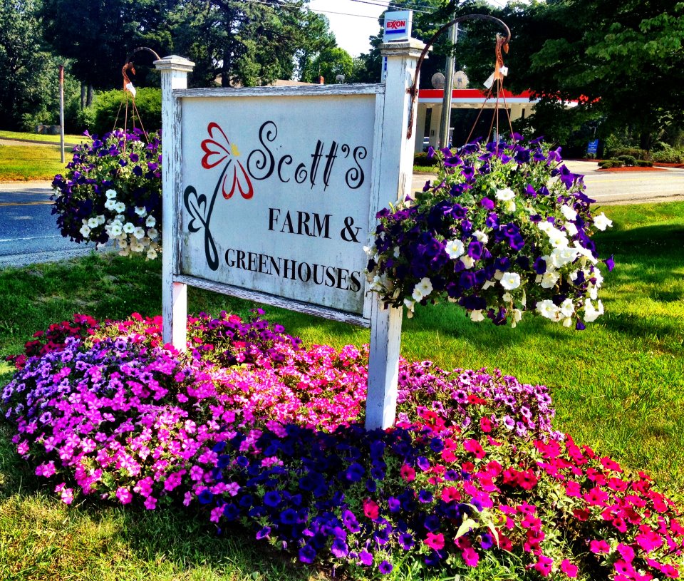 Scotts' Farm & Greenhouse Visit CT